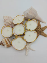 Load image into Gallery viewer, Shell Candle Making Class