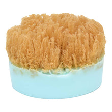 Load image into Gallery viewer, Sponge Soap Ocean