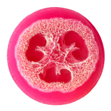 Load image into Gallery viewer, Loofah Soap Love Spell