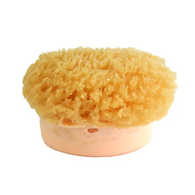 Load image into Gallery viewer, Sponge Soap Honey