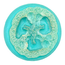 Load image into Gallery viewer, Loofah Soap Ocean
