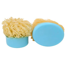 Load image into Gallery viewer, Sponge Soap Ocean