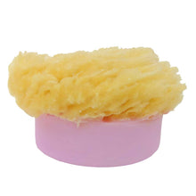 Load image into Gallery viewer, Sponge Soap-Rose